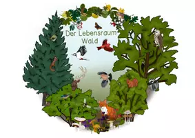 Vorschau - Poster - Lebensraum Wald - Themenplakat - Deckblatt