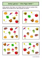 Vorschau - Arbeitsblätter - Schau genau zum Thema Herbst (3-fach differenziert) - Deckblatt
