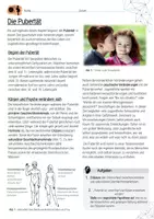 Vorschau - Stundenentwürfe - Die Pubertät / Sexualerziehung - AB & Lösungen + didakt. Kommentar - Seite 1