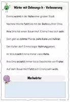 Vorschau - Arbeitsblätter - Diagnostik Rechtschreibung / Lernwörter Dehnungs-h / Deutsch - Seite 2
