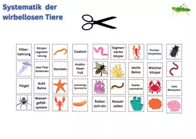 Vorschau - Arbeitsblätter - Systematik der wirbellosen Tiere - Seite 1