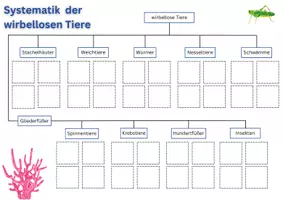 Vorschau - Arbeitsblätter - Systematik der wirbellosen Tiere - Seite 2