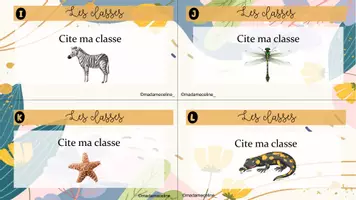 Aperçu - Jeux - CAT classification des animaux - Page 3