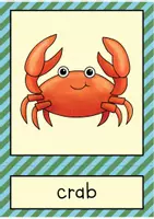 Vorschau - Bildkarten - Sea animals: flash cards // Bild- und Wortkarten (Englisch) - Seite 1