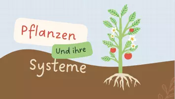 Vorschau - Arbeitsblätter - Stundenmaterial "Pflanzensysteme" Biologie Klasse 5 - Seite 1