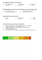 Vorschau - Test - Nichts Was im Leben wichtig ist Lektüretest - Lesetest zum Roman von Janne Teller - Seite 2