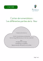 Aperçu - Apprentissages en autonomie - Cartes de nomenclature: Parties de la fleur - Page 1
