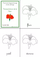Aperçu - Apprentissages en autonomie - Livret apprentissage-coloriage fleur - Page 2