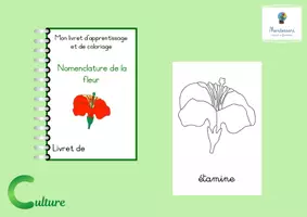 Aperçu - Apprentissages en autonomie - Livret apprentissage-coloriage fleur - Page de couverture