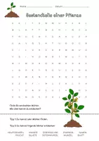 Vorschau - Arbeitsblätter - Suchsel Pflanzenteile 🌱 - Seite 1