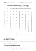 Vorschau - Arbeitsblätter - Suchsel Samenkeimung 🌱 - Seite 3