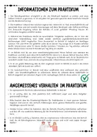 Vorschau - Arbeitsblätter - Betriebspraktikum: Informationen und Tipps zum Praktikum (Klasse 8 / 9) - Seite 1