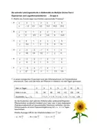 Vorschau - Test - Die schnelle Leistungskontrolle in Mathematik als Multiple-Choice-Test 4 - Seite 3