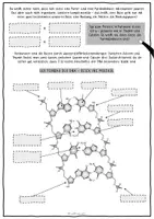 Vorschau - Arbeitsblätter - Aufbau der DNA - Genetik in der Oberstufe - Seite 3