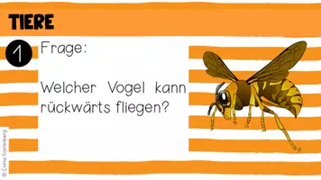 Vorschau - Quiz - Quiz - Allgemeinwissen - Klasse 5 bis 6 (evtl. schon ab Kl. 4) - Seite 3