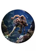Vorschau - Mal- und Bastelvorlagen - Meerestiere Girlande - Oktopus Sachunterricht Oktopusklasse - Seite 1