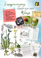 Vorschau - Arbeitsblätter - Lesespaziergang - Leben auf der Wiese (+ Stockwerke) - Deckblatt