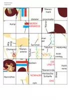 Vorschau - Spiele - Nieren & Harnwege - Puzzle - Seite 2