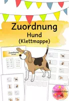 Vorschau - Fördermaterial/Inklusion - Klettmappe, Hund, Zuordnung, Förderung, TEACCH - Seite 1