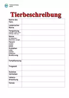 Vorschau - Stundenentwürfe - Tierbeschreibung: KATZE inkl. Steckbrief & Silbenschrift - Seite 3