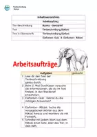 Vorschau - Arbeitsblätter - PAKET: Tierbeschreibung - ELEFANT & LÖWE - Seite 3