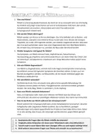 Vorschau - Arbeitsblätter - AB mit Fragen zum Thema "Röteln" + Lösungsblatt + Infografik - Seite 2