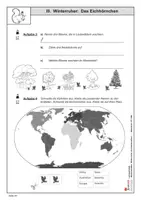 Vorschau - Arbeitsblätter - Winterruher: Das Eichhörnchen | Sachunterricht Biologie Grundschule Sekundarstufe Klasse 3-6 | Lebensraum, Lebensweise, Verhalten, Aussehen, Körperbau, Kobel, Vorräte | Arbeitsblätter, Kopiervorlagen, Freiarbeit mit Lösungen - Seite 1