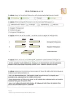 Vorschau - Arbeitsblätter - Arbeitsblatt: Plattengrenzen der Erde (mit Lösung) - Seite 2