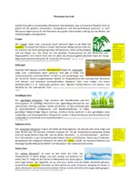 Vorschau - Arbeitsblätter - Arbeitsblatt: Klimazonen der Erde (mit Lösung) - Seite 1