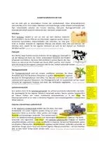 Vorschau - Arbeitsblätter - Arbeitsblatt: Formen der Landwirtschaft (mit Lösung) - Deckblatt
