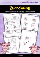 Vorschau - Fördermaterial/Inklusion - Klettmappe Axolotl - Zuordnung optische Differenzierung - TEACCH - Deckblatt