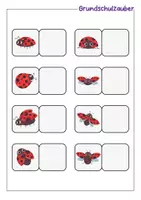 Vorschau - Fördermaterial/Inklusion - Klettmappe Marienkäfer - Zuordnung optische Differenzierung - TEACCH - Seite 2