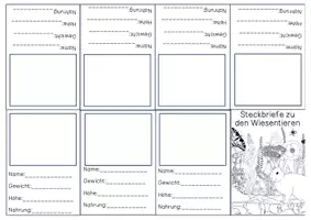 Vorschau - Mal- und Bastelvorlagen - Mini-Bücher zum Thema Wiese - Steckbriefe - Deckblatt