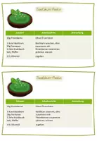 Vorschau - Arbeitsblätter - Rezept: Basilikum-Pesto für Kochunterricht - Deckblatt