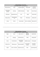 Vorschau - Quiz - Erdkunde-Bingo: Alles zum Tourismus - Seite 1