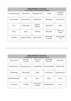 Vorschau - Quiz - Erdkunde-Bingo: Alles zum Tourismus - Seite 2