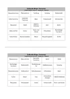 Vorschau - Quiz - Erdkunde-Bingo: Alles zum Tourismus - Seite 3
