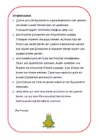 Vorschau - Mal- und Bastelvorlagen - Märchenlaterne Froschkönig (Vorlage) - Seite 2