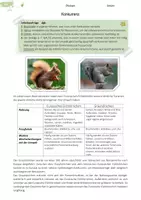 Vorschau - Stundenentwürfe - Ökosystem Wald | Materialpaket mit Grundlagen - Deckblatt