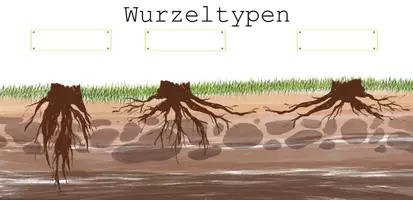Vorschau - Arbeitsblätter - Der Baum - Seite 2