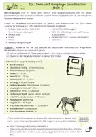 Vorschau - Arbeitsblätter - Selbst organisiertes Lernen Tierbeschreibungen - Deckblatt