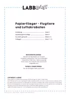 Vorschau - Spiele - Papierflieger - Flugtiere und Luftakrobaten - Seite 3
