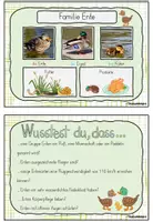 Vorschau - Arbeitsblätter - Kartei Bauernhof - Seite 3