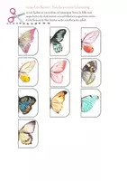 Vorschau - Fördermaterial/Inklusion - Klettmappe Schmetterlinge - visuelle Wahrnehmung - Seite 3