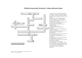 Vorschau - Quiz - Kreuzworträtsel: Der menschliche Körper (mit Lösung) - Seite 1