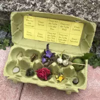 Vorschau - Aufgabenkarten - Meine Schöpfungsschatzkiste - Deckblatt