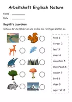 Vorschau - Stundenentwürfe - Arbeitsheft Natur Englisch - Arbeitsblätter inkl. Mini-Buch - Seite 1
