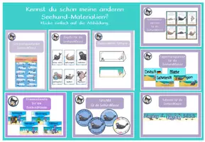 Vorschau - Poster - editierbarer Stundenplan Seehundklasse #Klassentier - Seite 2
