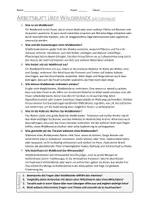 Vorschau - Arbeitsblätter - AB mit Fragen zum Thema "Waldbrände" + Lösungsblatt + Infografik - Seite 2