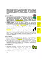 Vorschau - Arbeitsblätter - Arbeitsblatt: Migration - Push- & Pull-Faktoren (+ Lösung) - Deckblatt